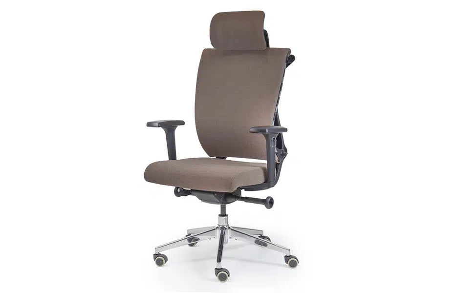 Ergonomic Design and luxury Artin Chair