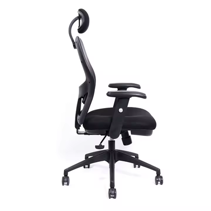 Dexter Plus Office Chair Comfortable Chair