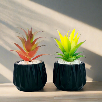 Cactus Plant Set of 2 Pieces P 58-1 Office Home Decor