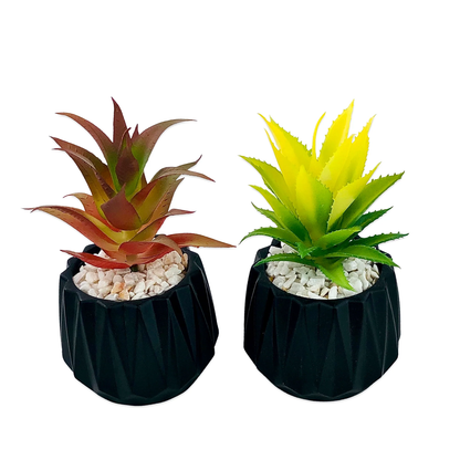 Cactus Plant Set of 2 Pieces P 58-1 Office Home Decor