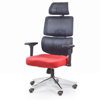 Ergonomic Luxury Regal Office Chair