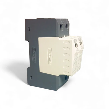 TOMZN 2P AC SPD House Surge Protector